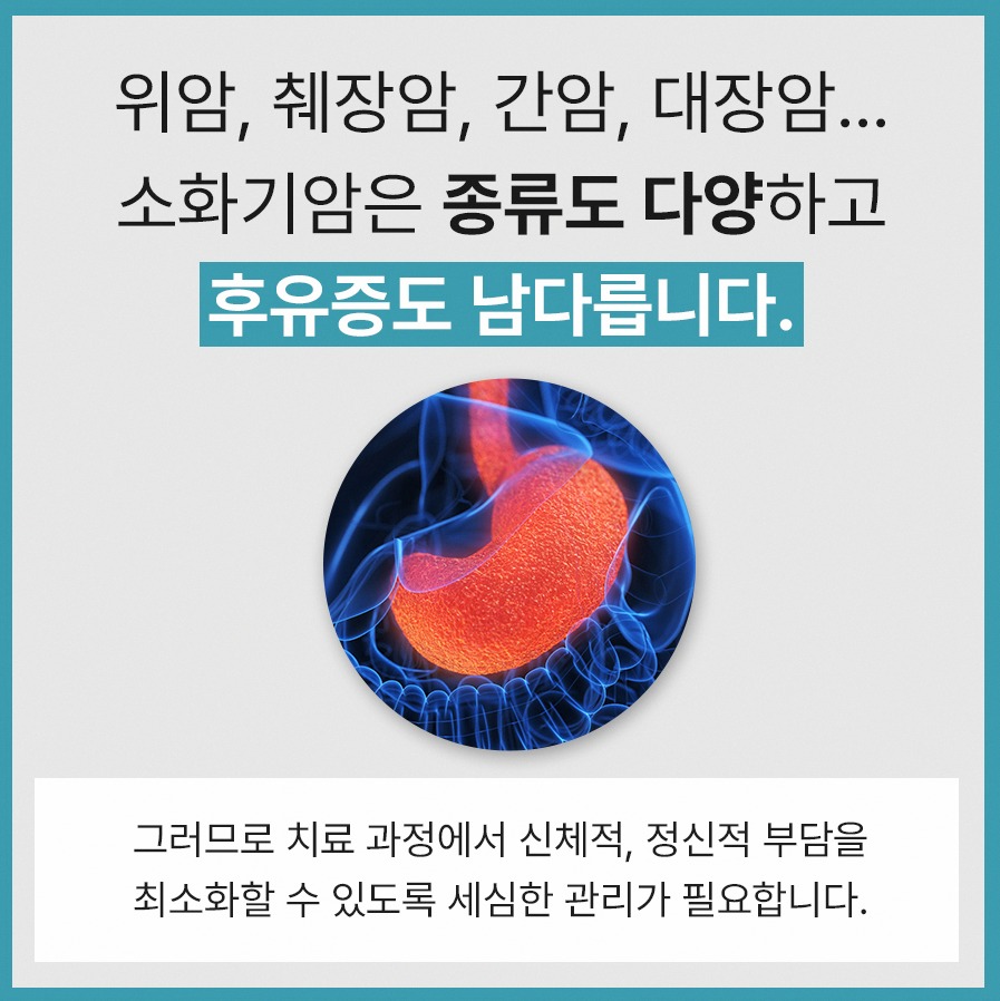 본문 내용을 보조하는 이미지