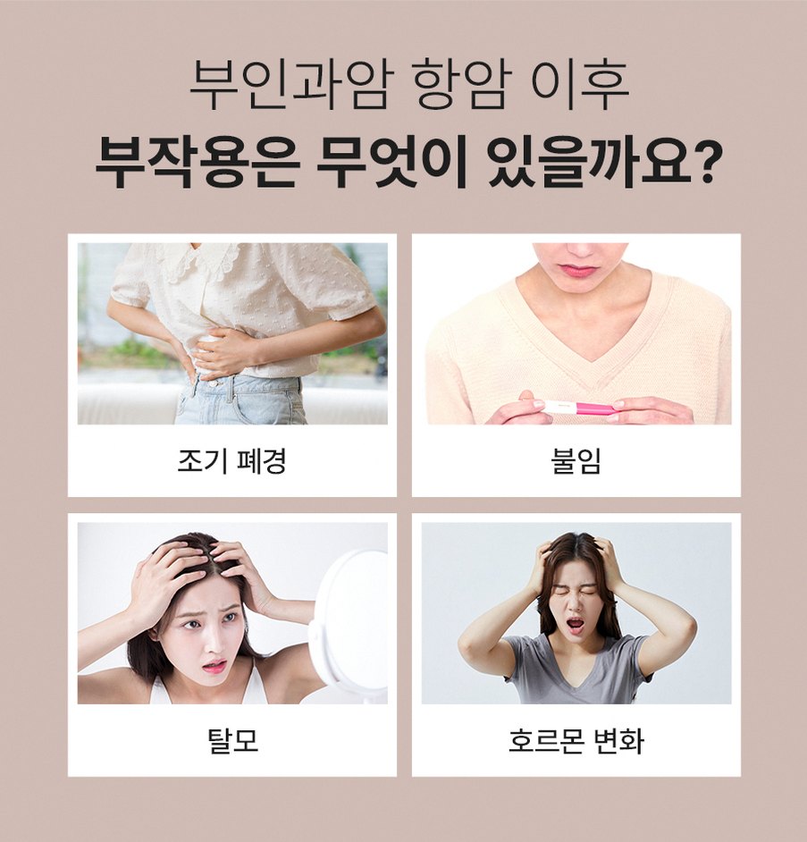 본문 내용을 보조하는 이미지