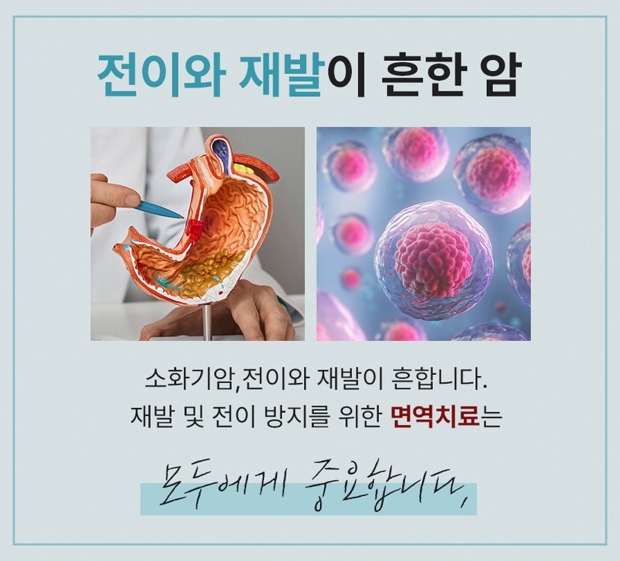 본문 내용을 보조하는 이미지