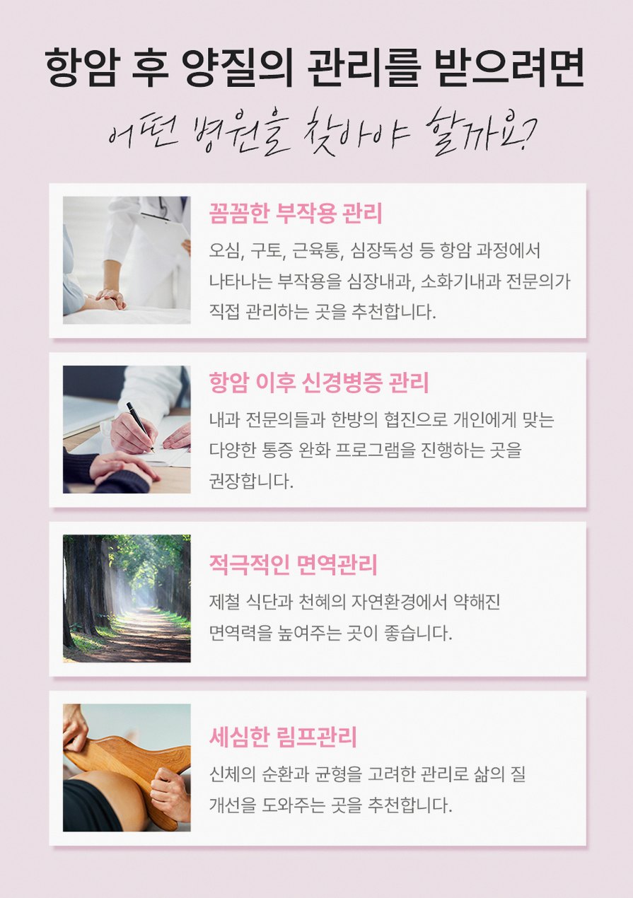 본문 내용을 보조하는 이미지