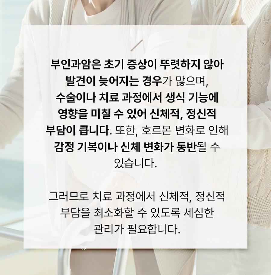본문 내용을 보조하는 이미지
