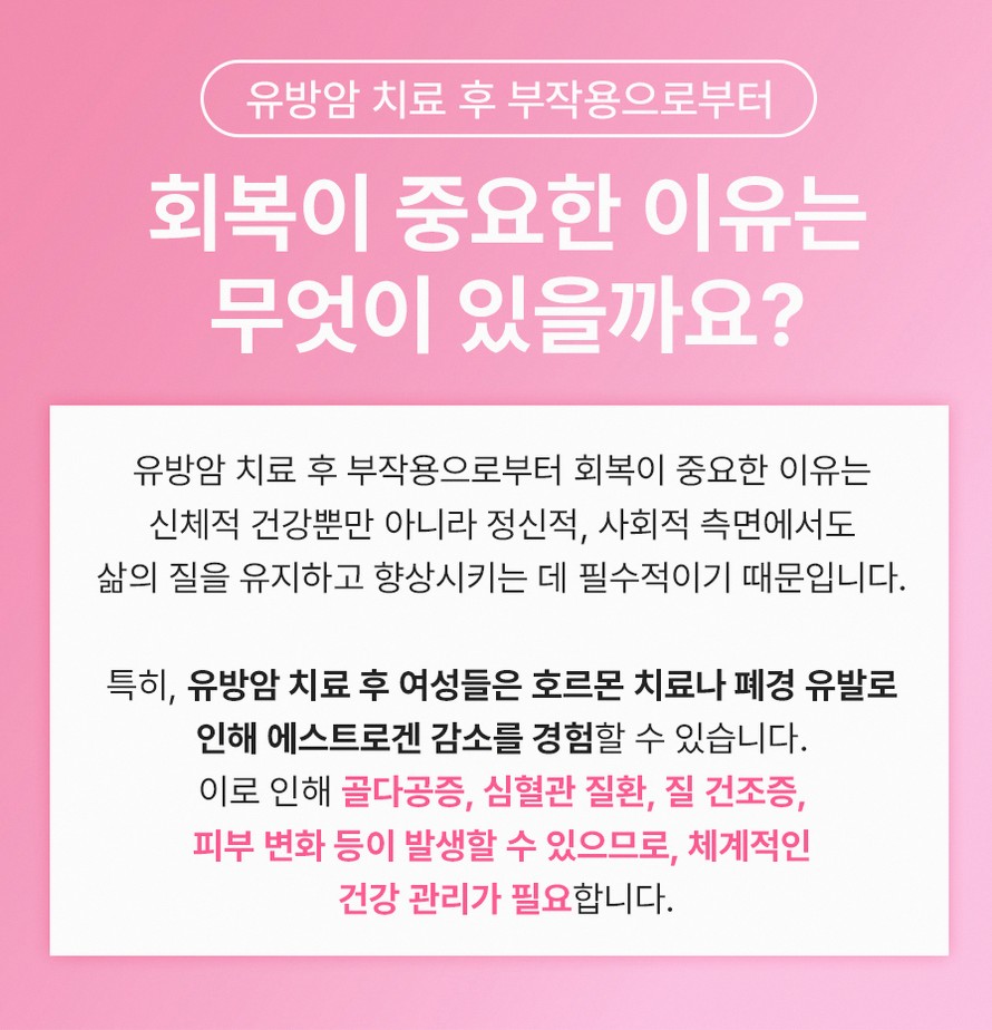 본문 내용을 보조하는 이미지