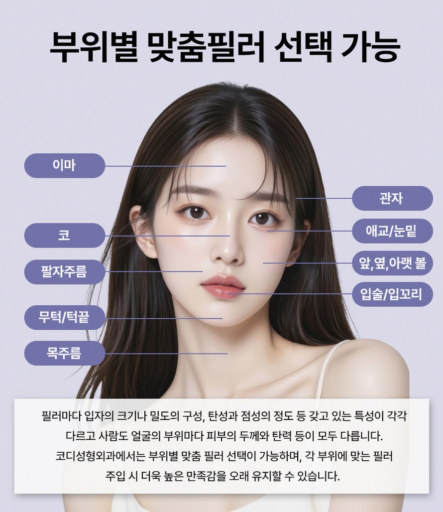 본문 내용을 보조하는 이미지