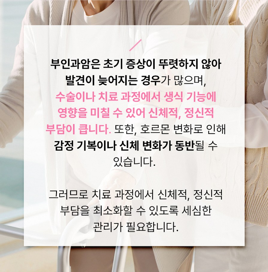 본문 내용을 보조하는 이미지