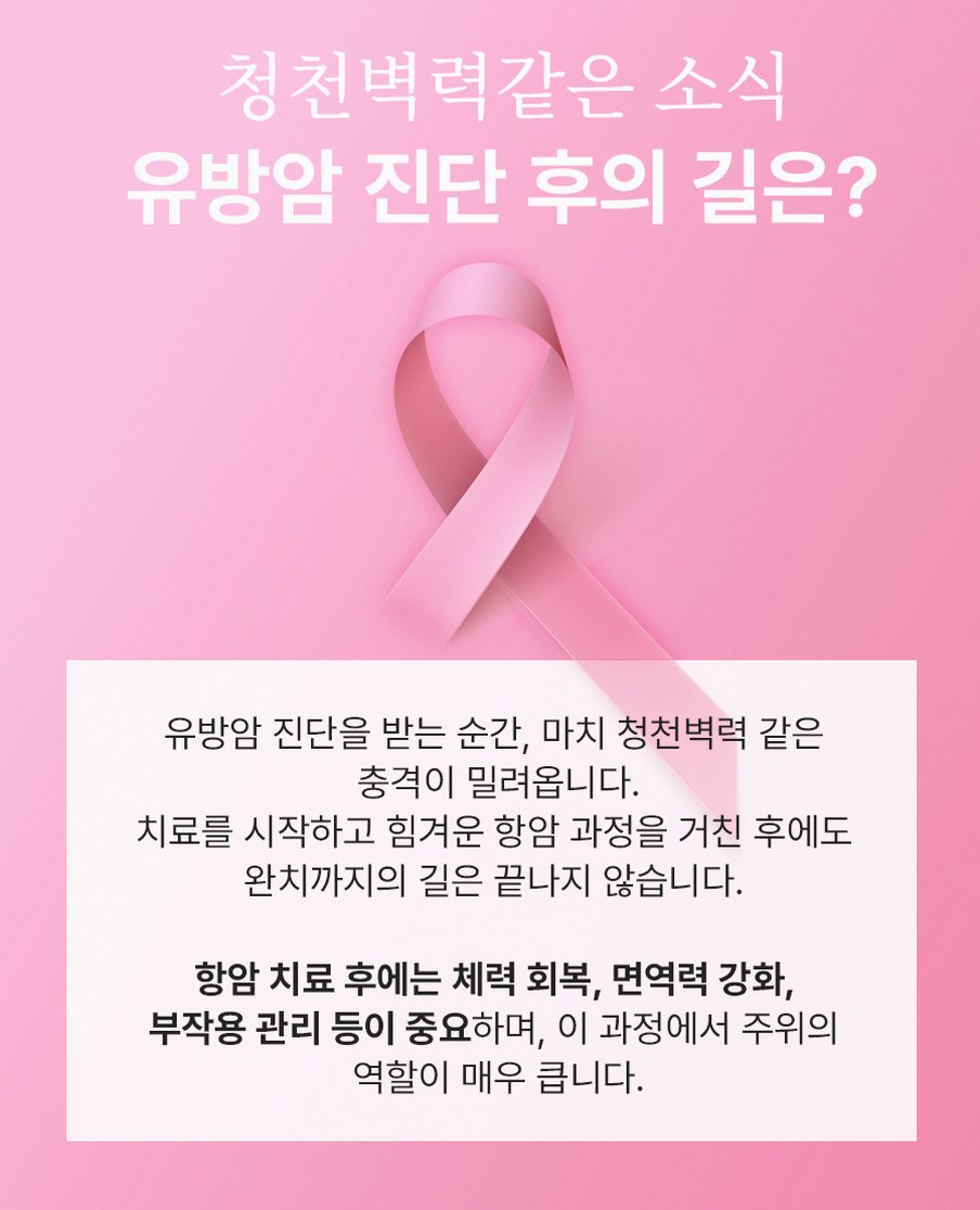 본문 내용을 보조하는 이미지