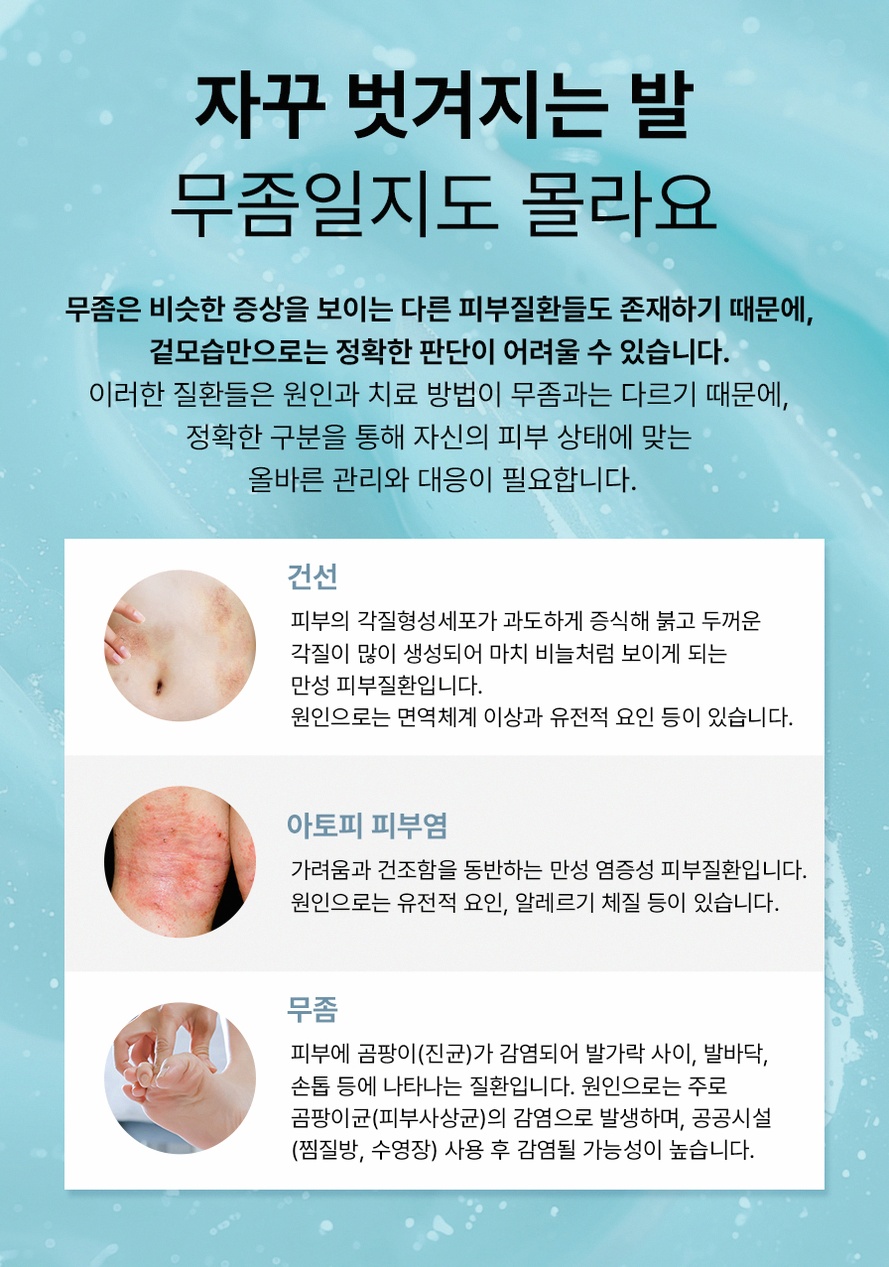 본문 내용을 보조하는 이미지