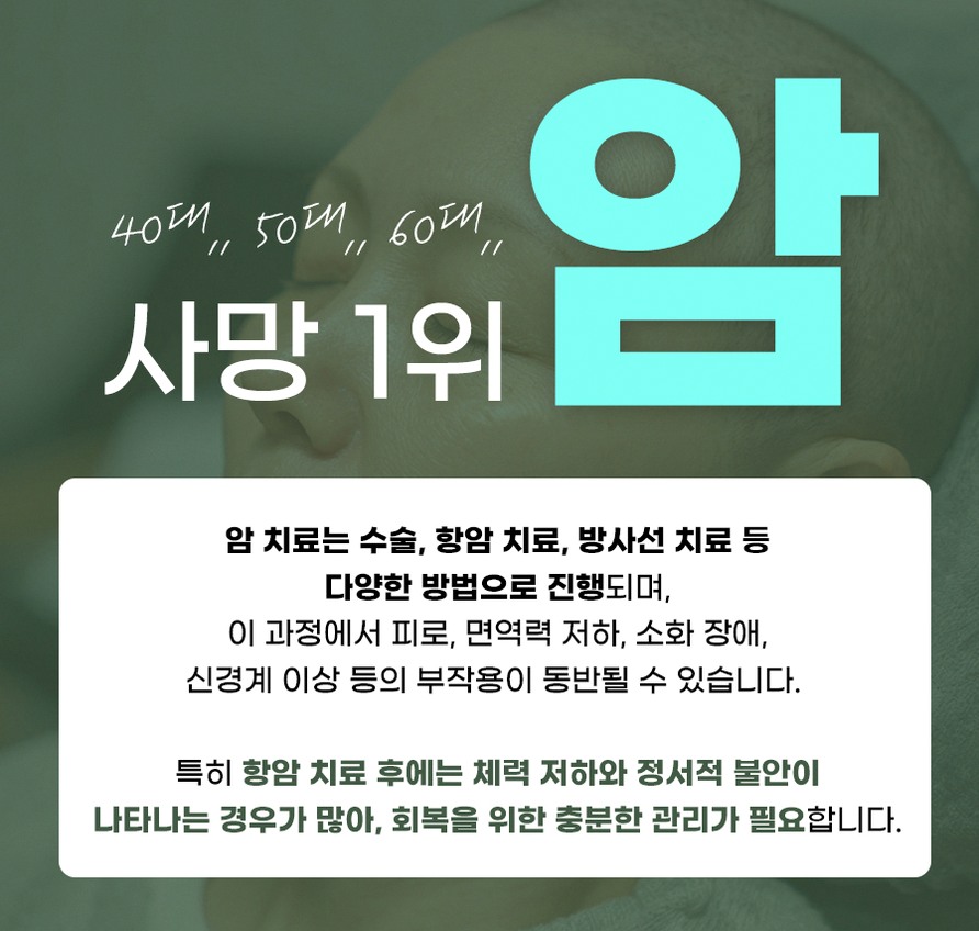 본문 내용을 보조하는 이미지
