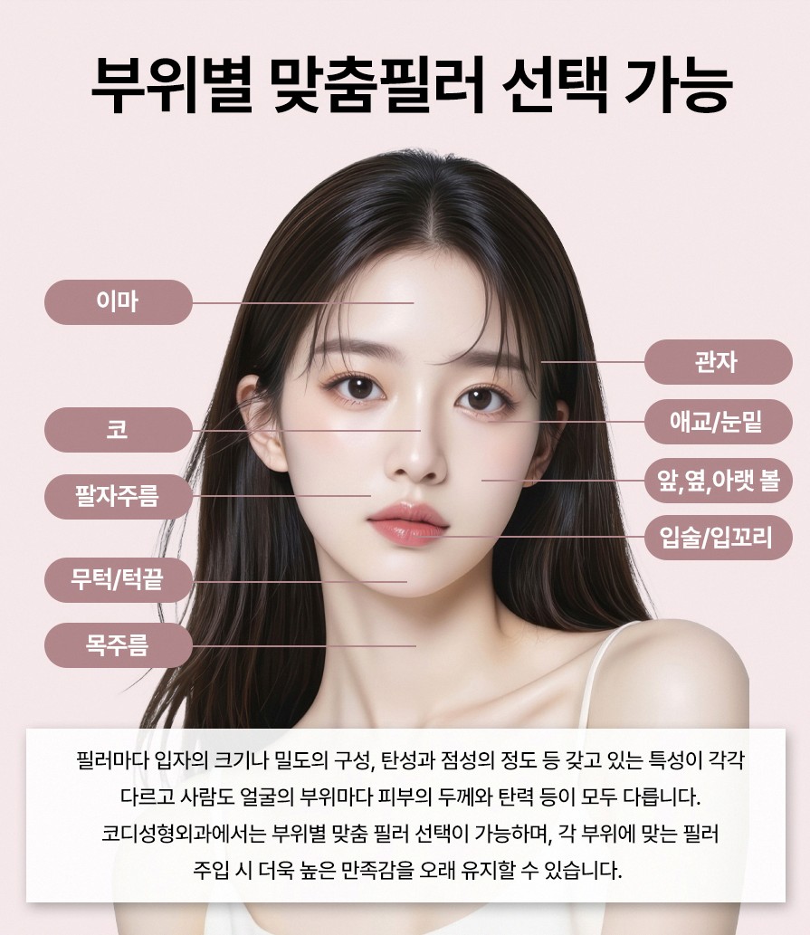 본문 내용을 보조하는 이미지