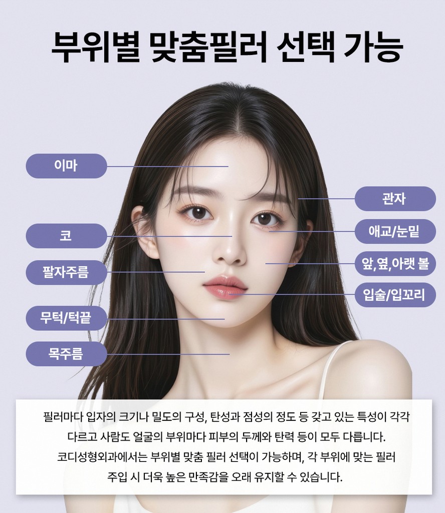 본문 내용을 보조하는 이미지