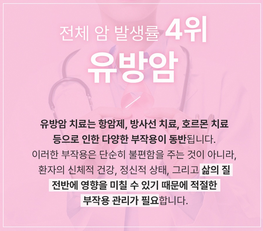 본문 내용을 보조하는 이미지