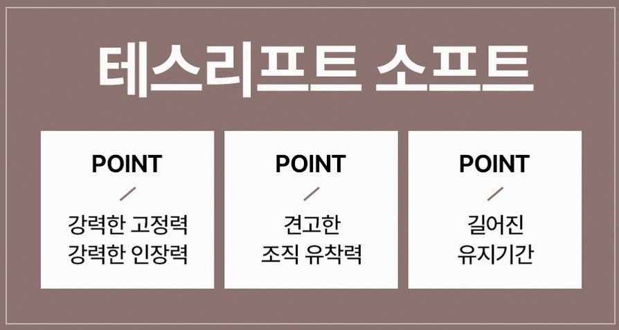 본문 내용을 보조하는 이미지