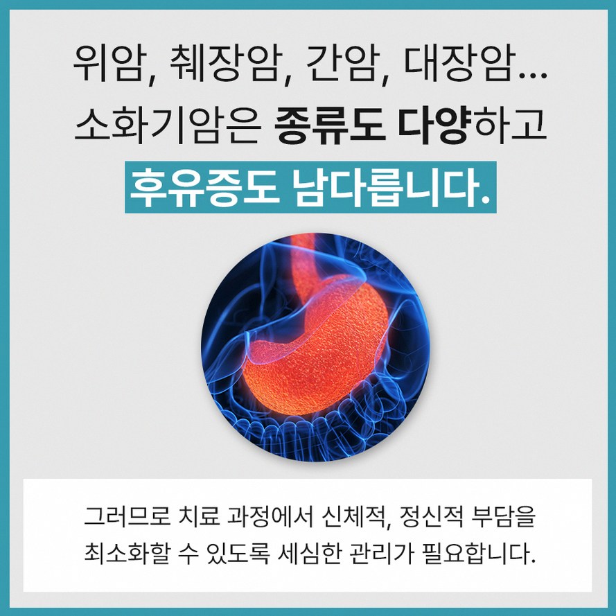본문 내용을 보조하는 이미지