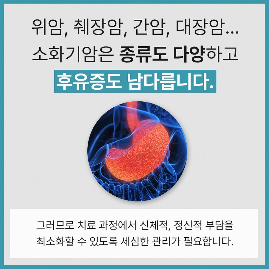 본문 내용을 보조하는 이미지