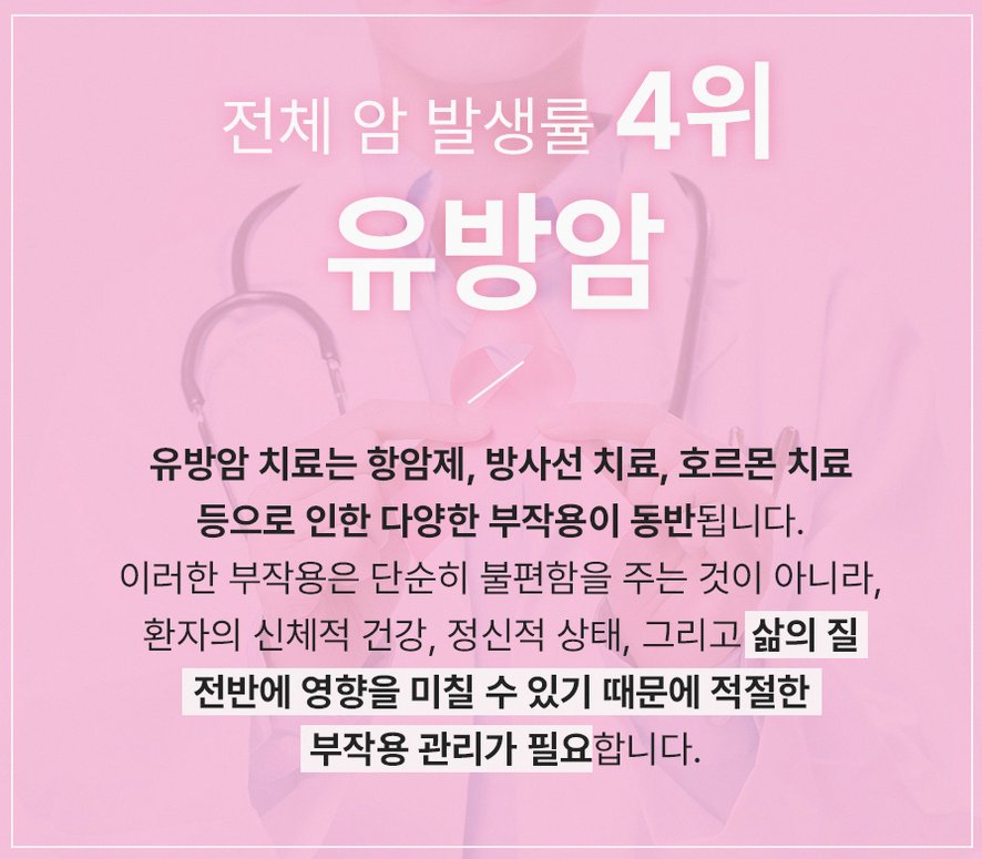 본문 내용을 보조하는 이미지