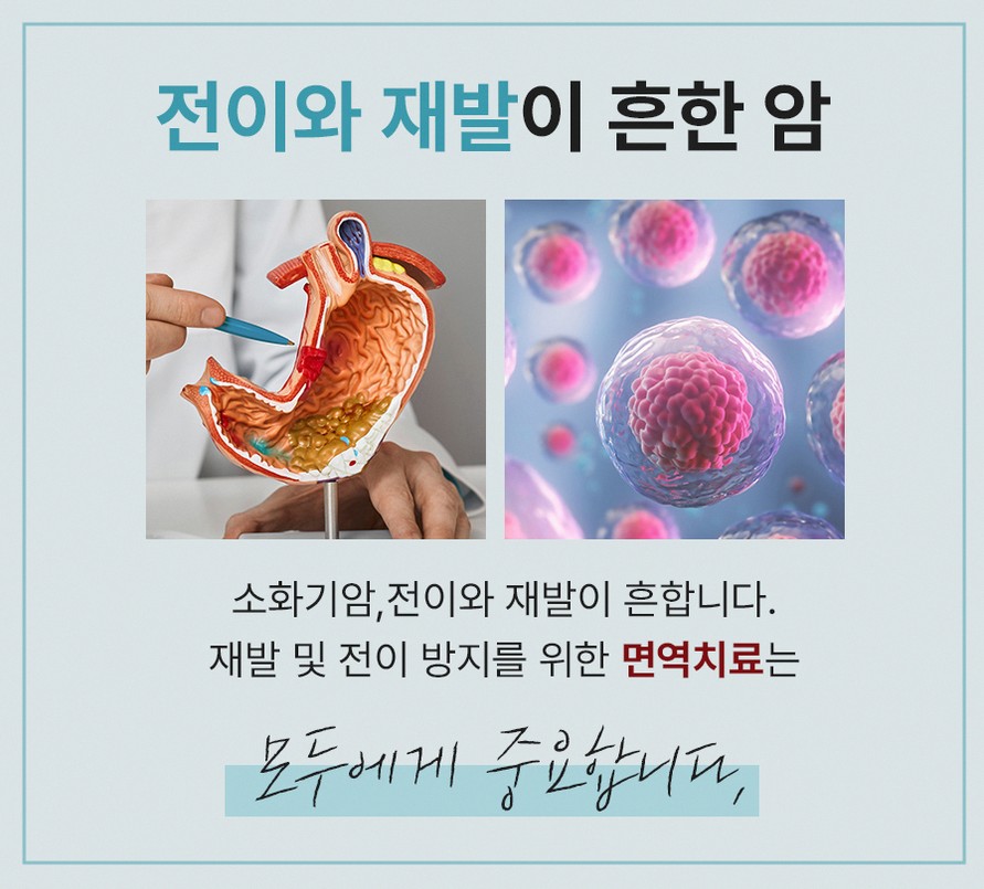 본문 내용을 보조하는 이미지