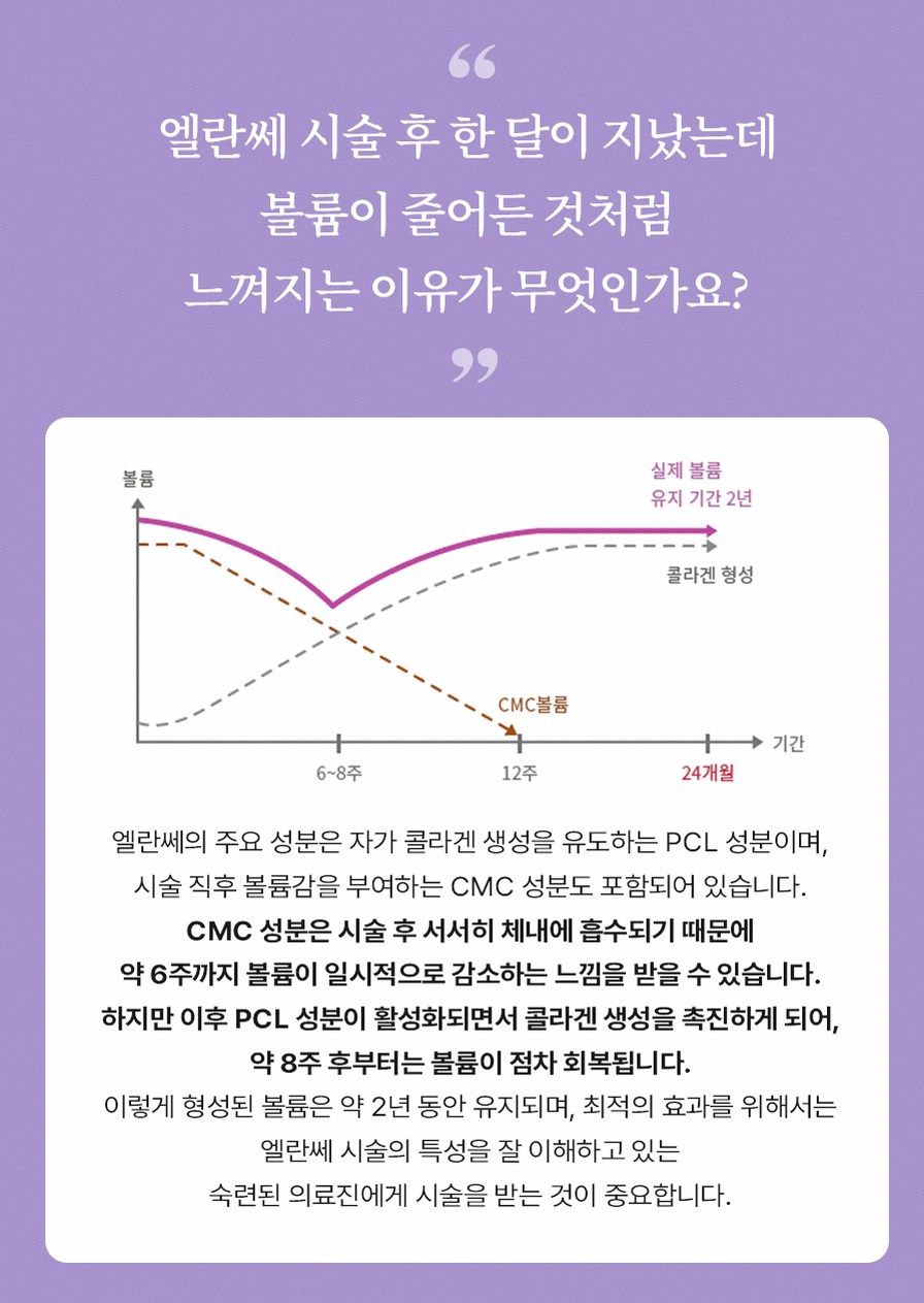 본문 내용을 보조하는 이미지