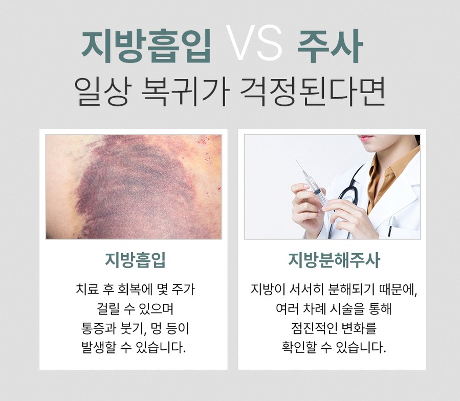 본문 내용을 보조하는 이미지