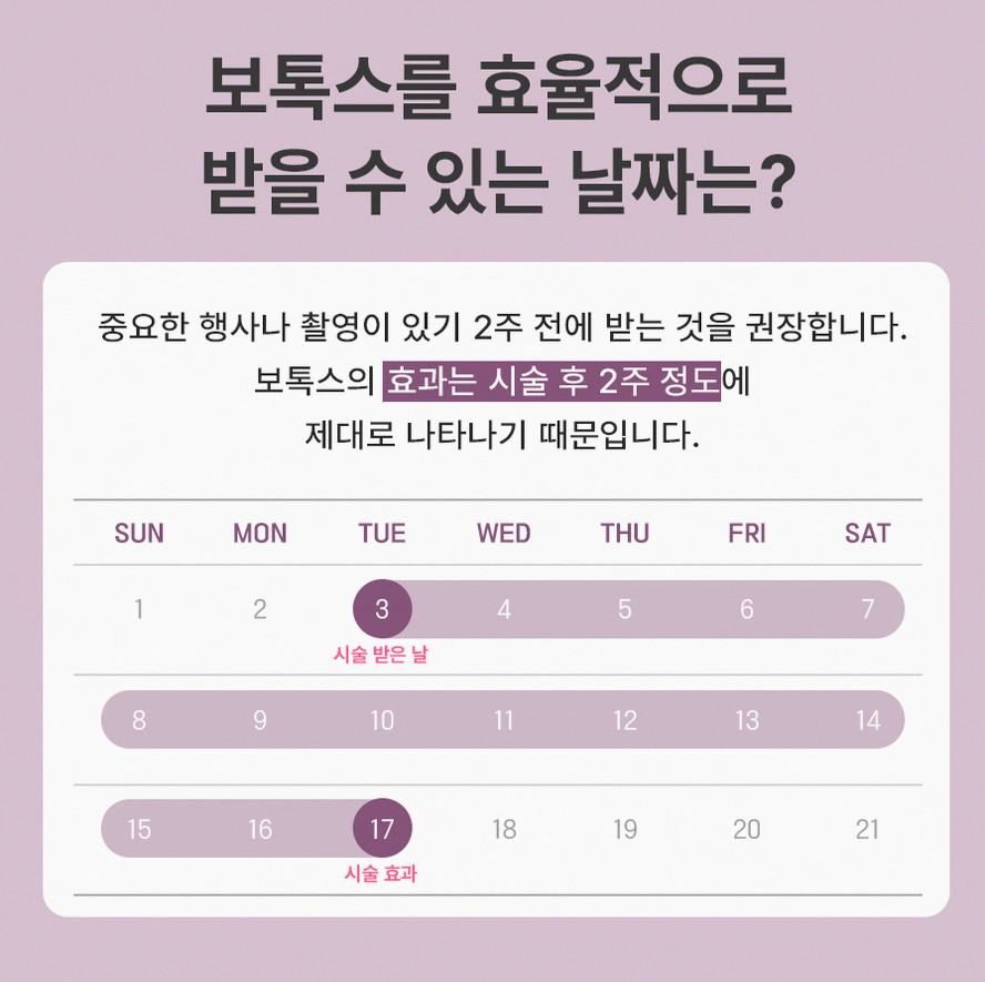 본문 내용을 보조하는 이미지