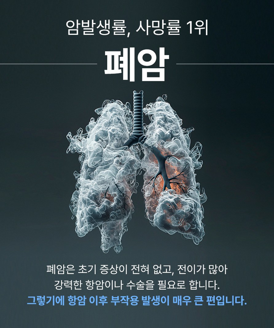 본문 내용을 보조하는 이미지