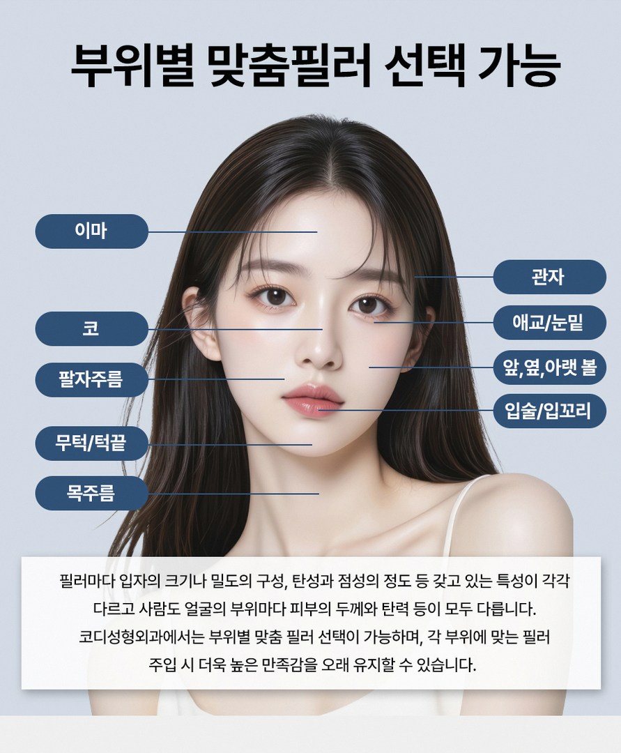 본문 내용을 보조하는 이미지