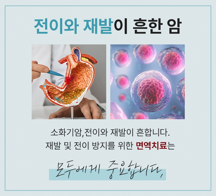 본문 내용을 보조하는 이미지