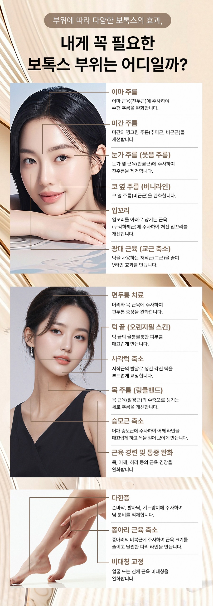 본문 내용을 보조하는 이미지
