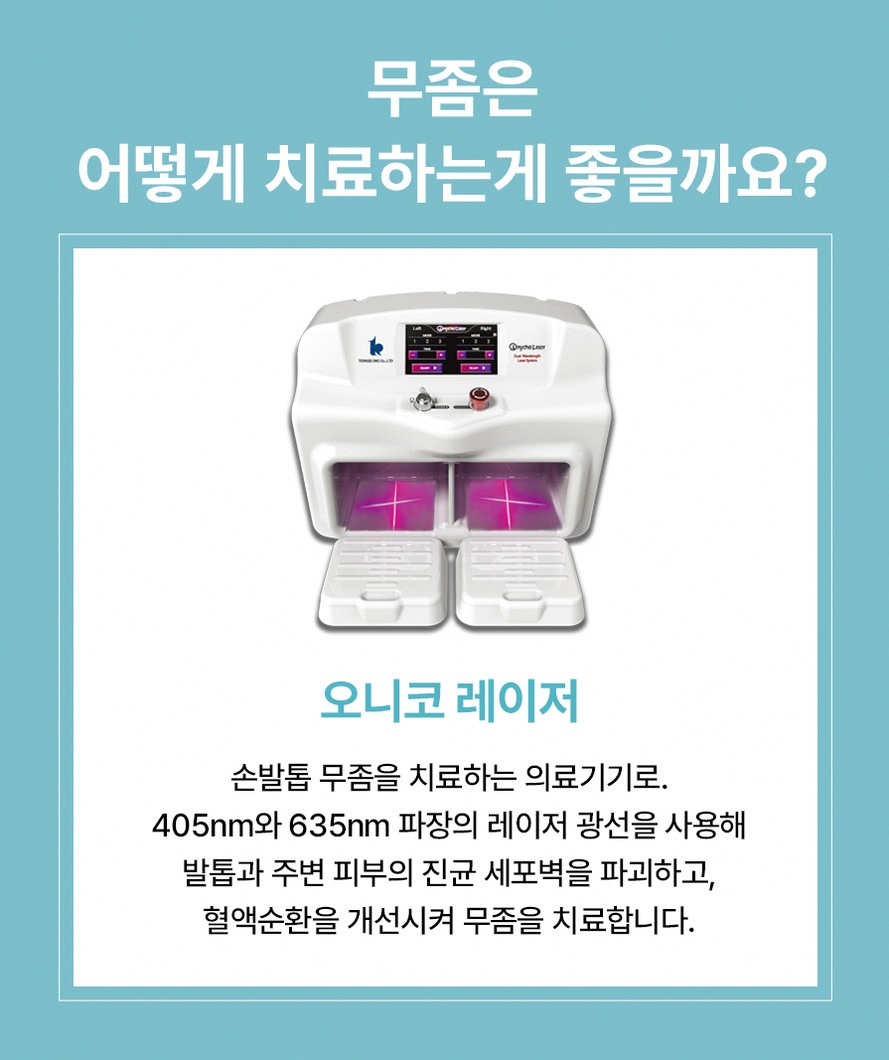 본문 내용을 보조하는 이미지
