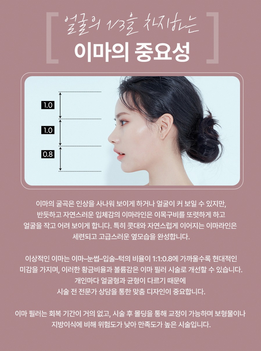 본문 내용을 보조하는 이미지
