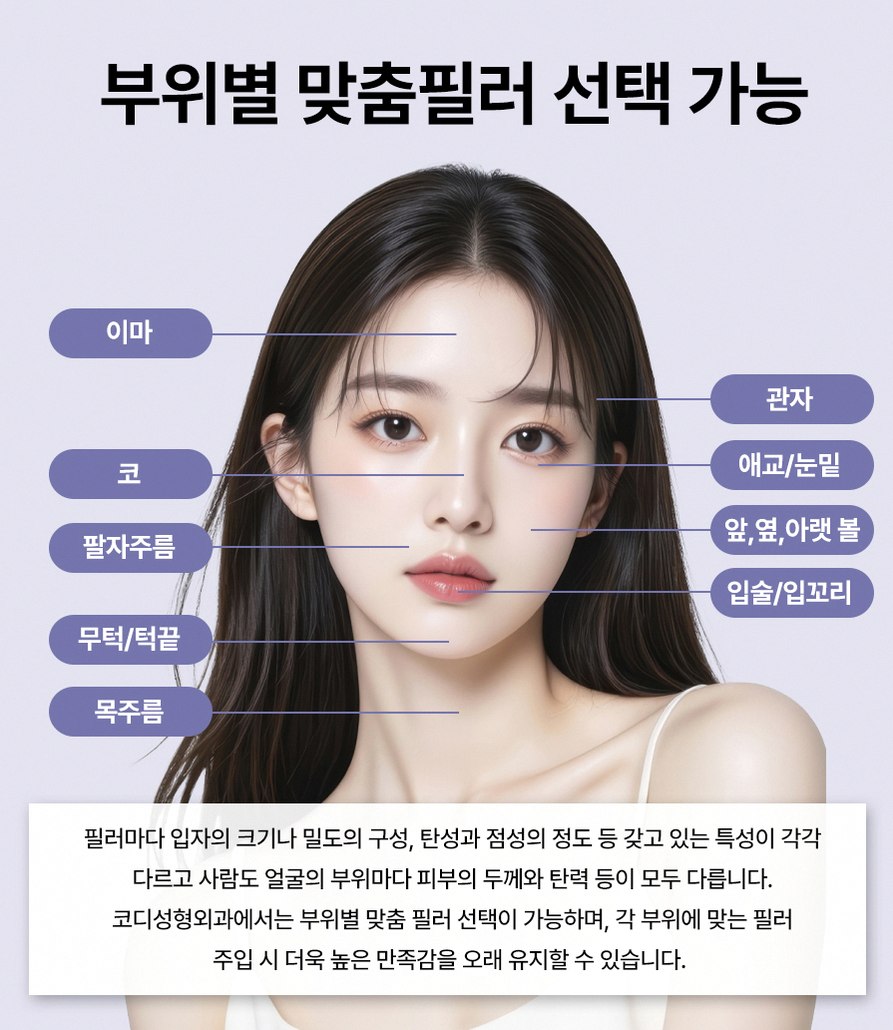 본문 내용을 보조하는 이미지