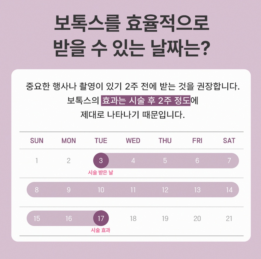 본문 내용을 보조하는 이미지