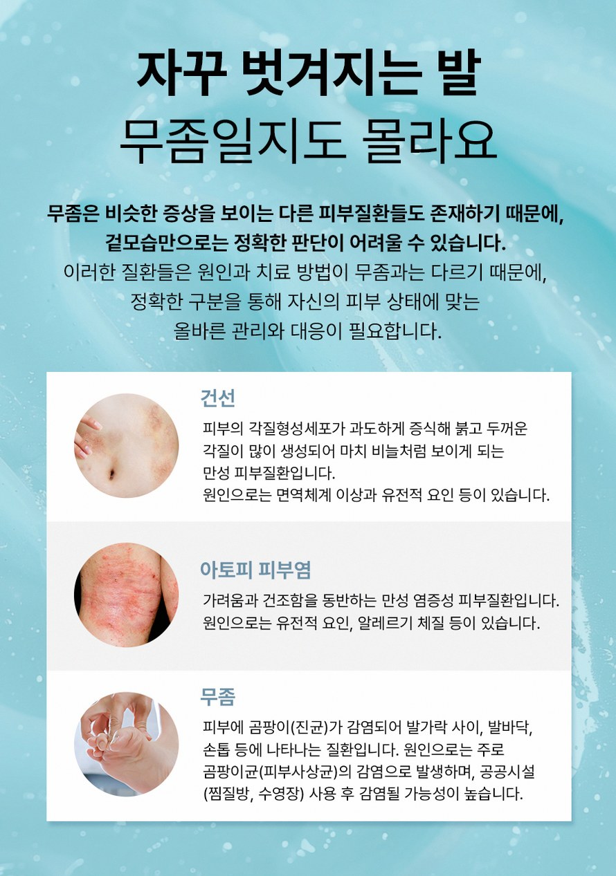 본문 내용을 보조하는 이미지
