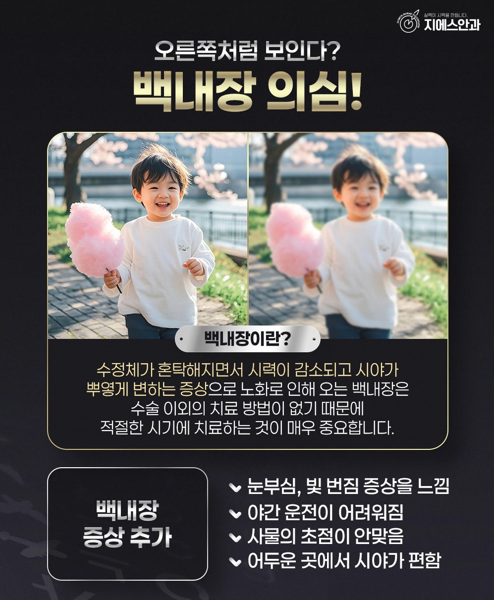 본문 내용을 보조하는 이미지