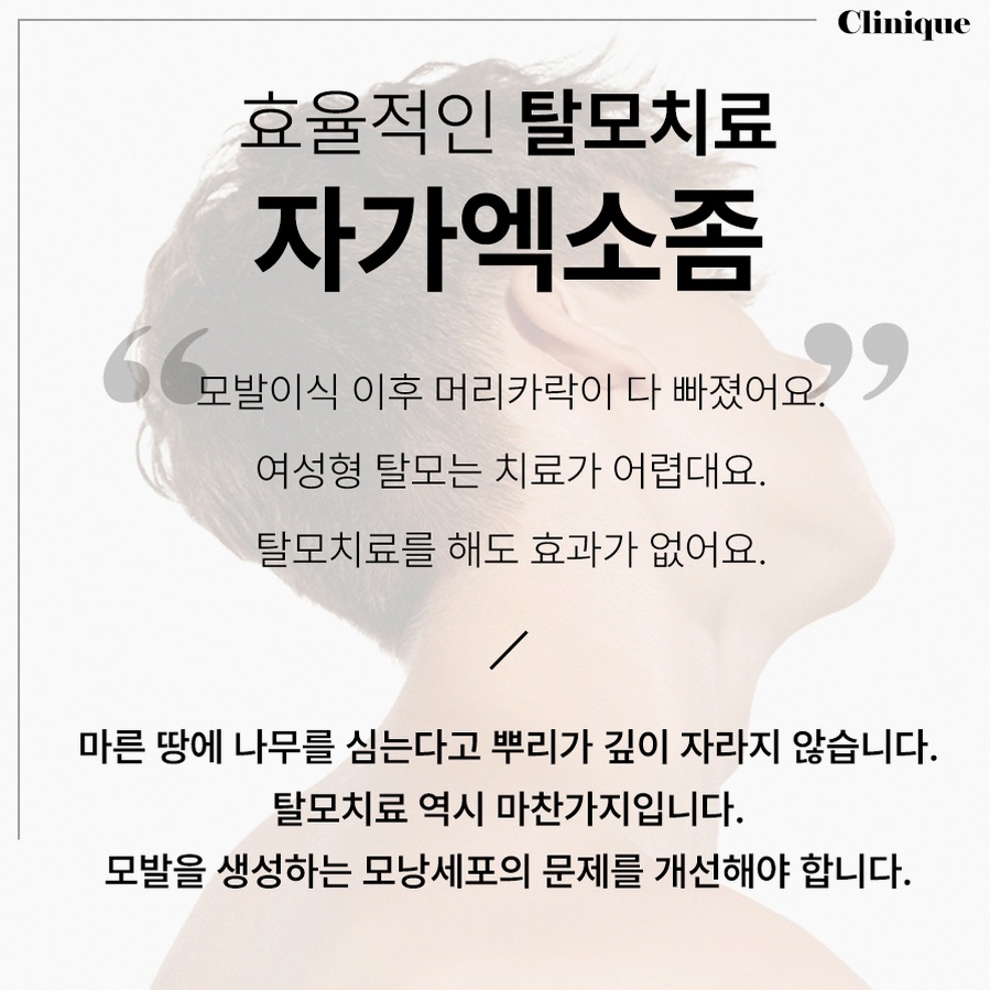 본문 내용을 보조하는 이미지