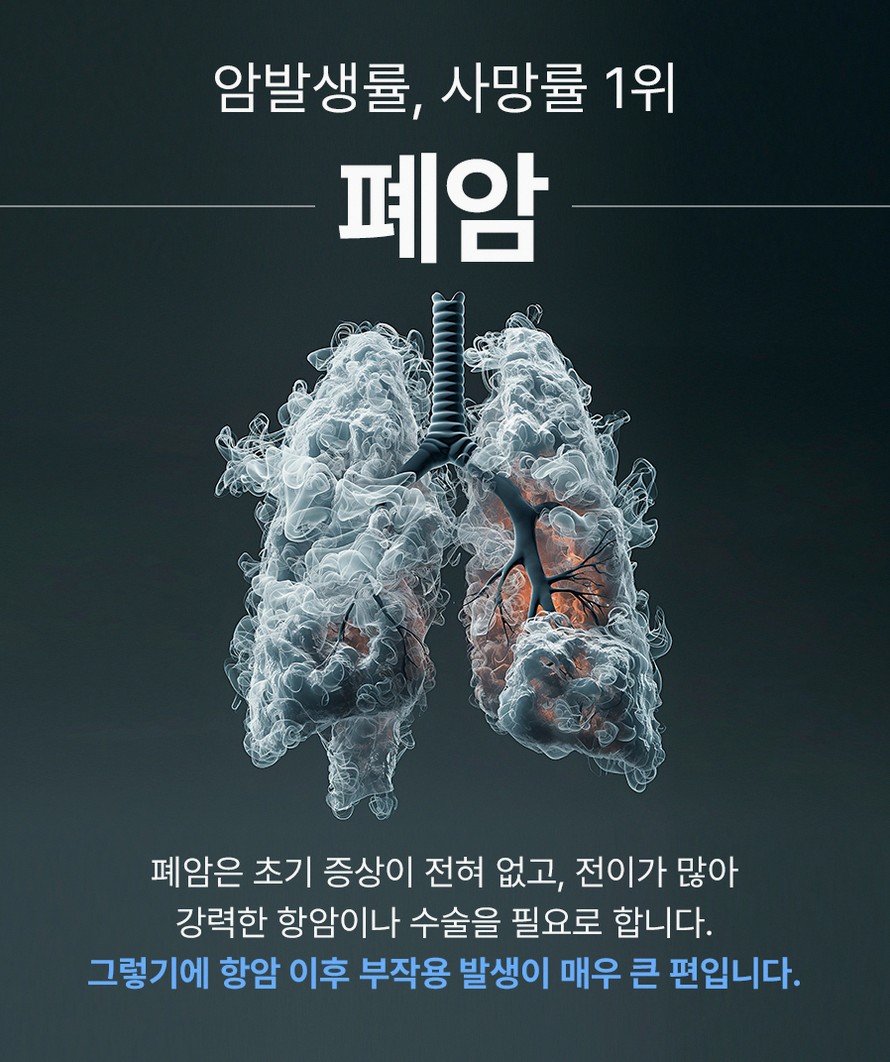 본문 내용을 보조하는 이미지