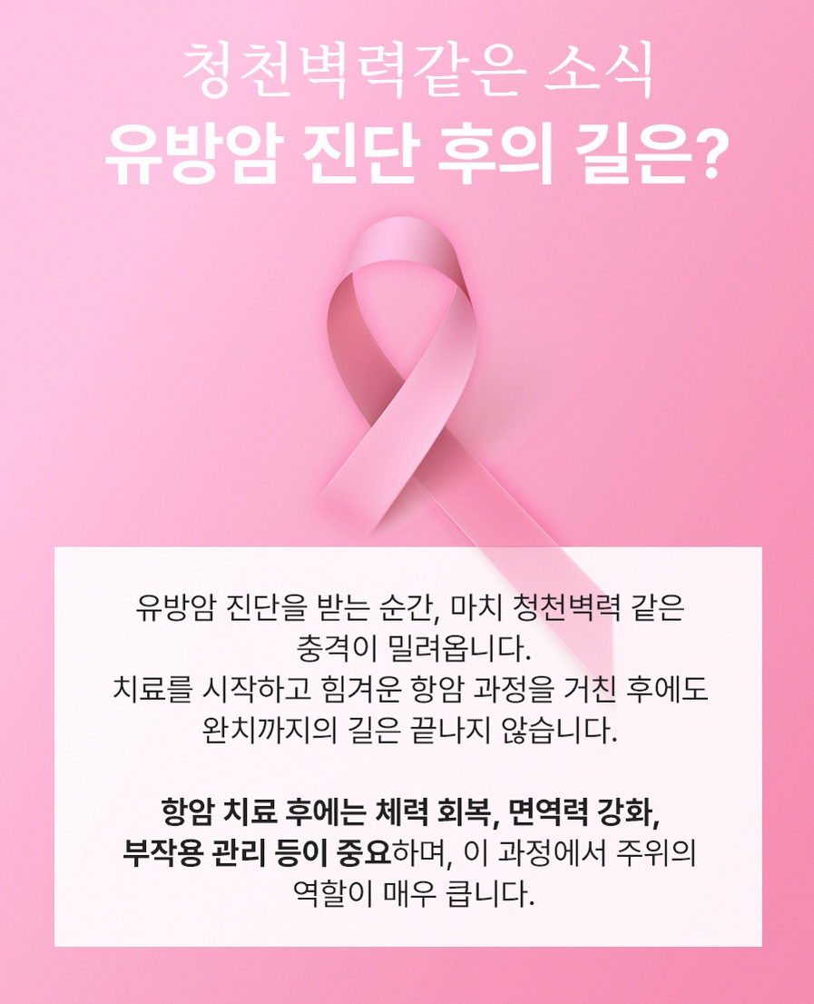 본문 내용을 보조하는 이미지
