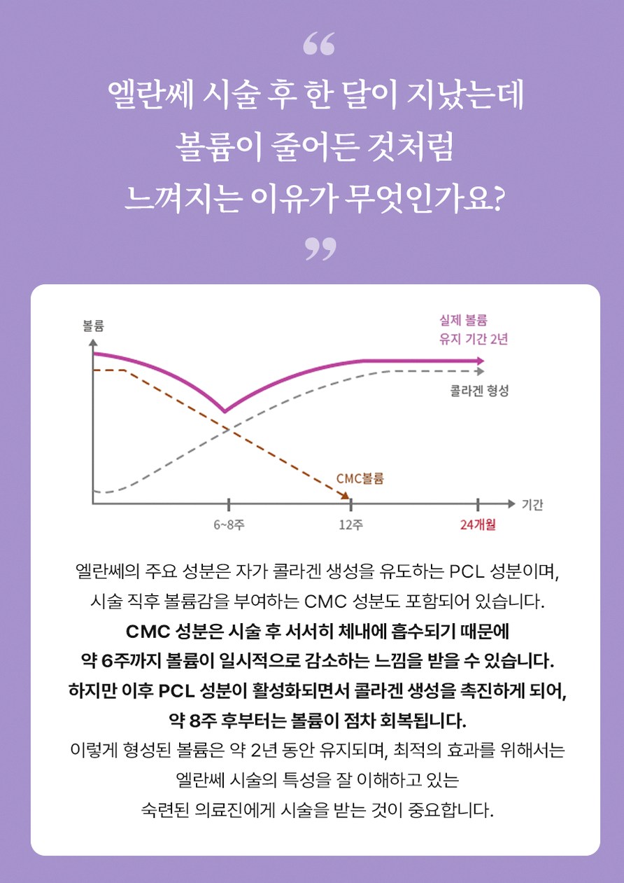 본문 내용을 보조하는 이미지