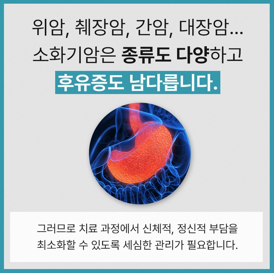 본문 내용을 보조하는 이미지