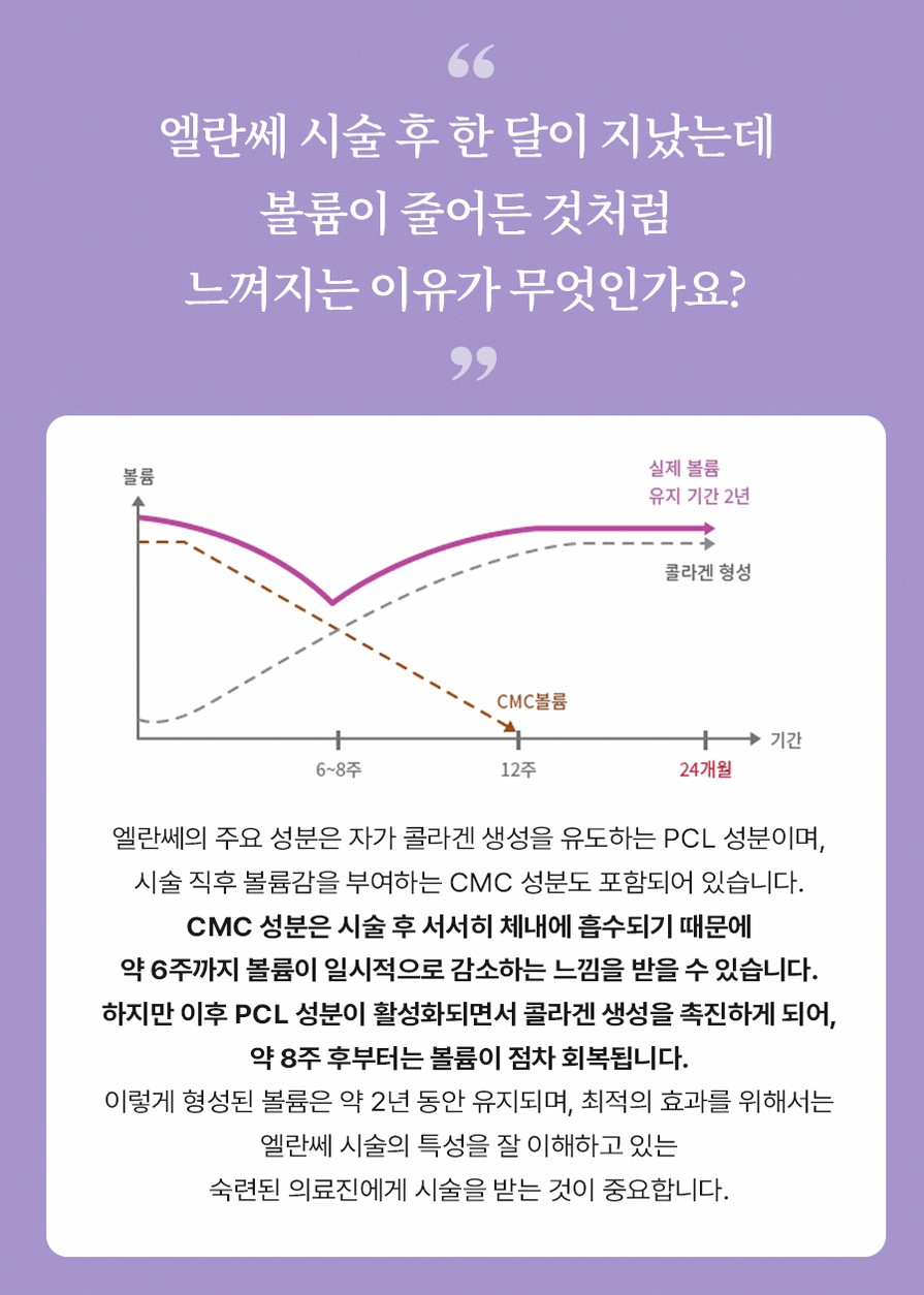 본문 내용을 보조하는 이미지