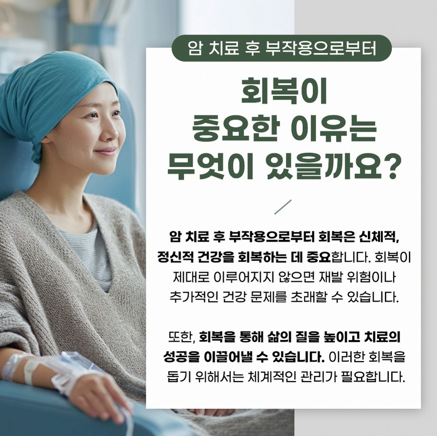 본문 내용을 보조하는 이미지