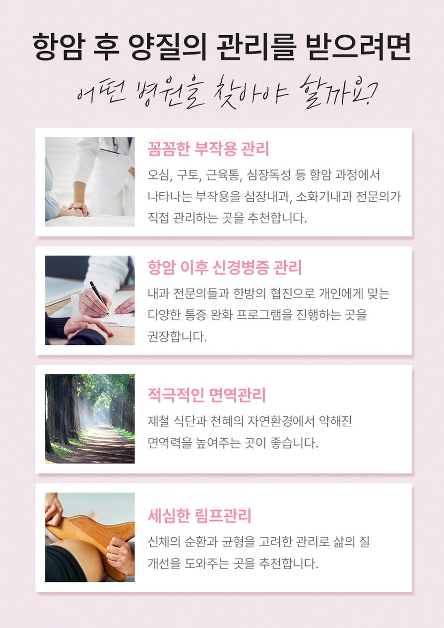 본문 내용을 보조하는 이미지