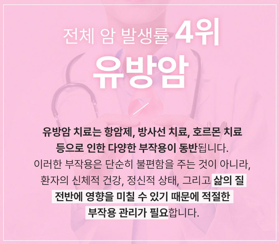 본문 내용을 보조하는 이미지