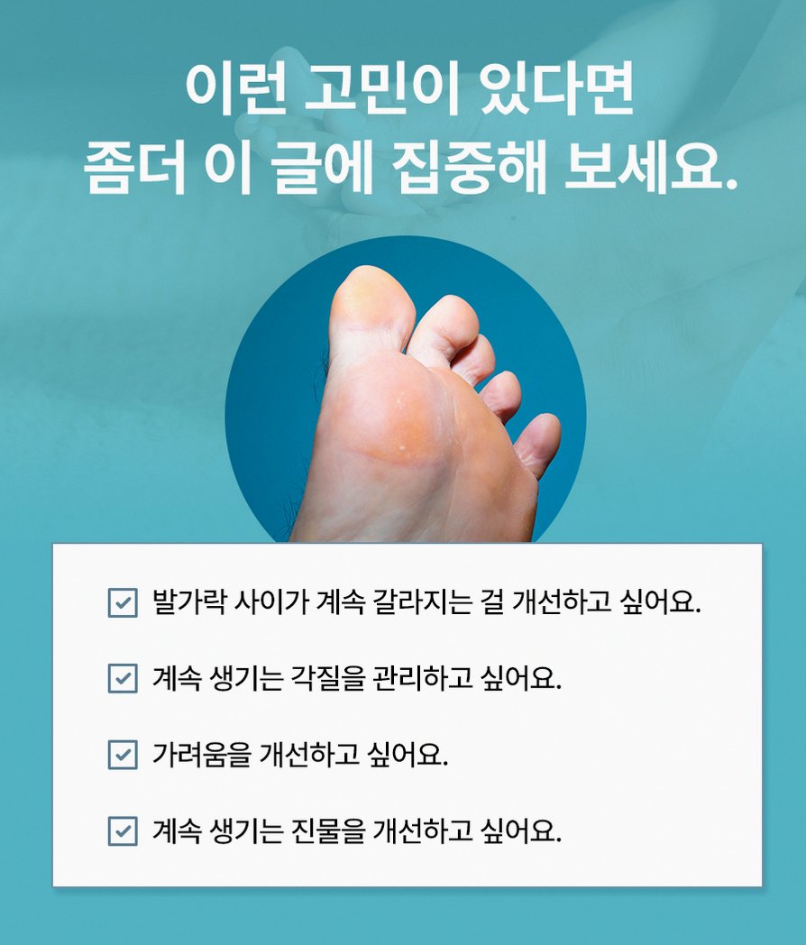 본문 내용을 보조하는 이미지