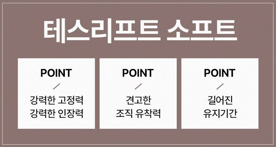 본문 내용을 보조하는 이미지