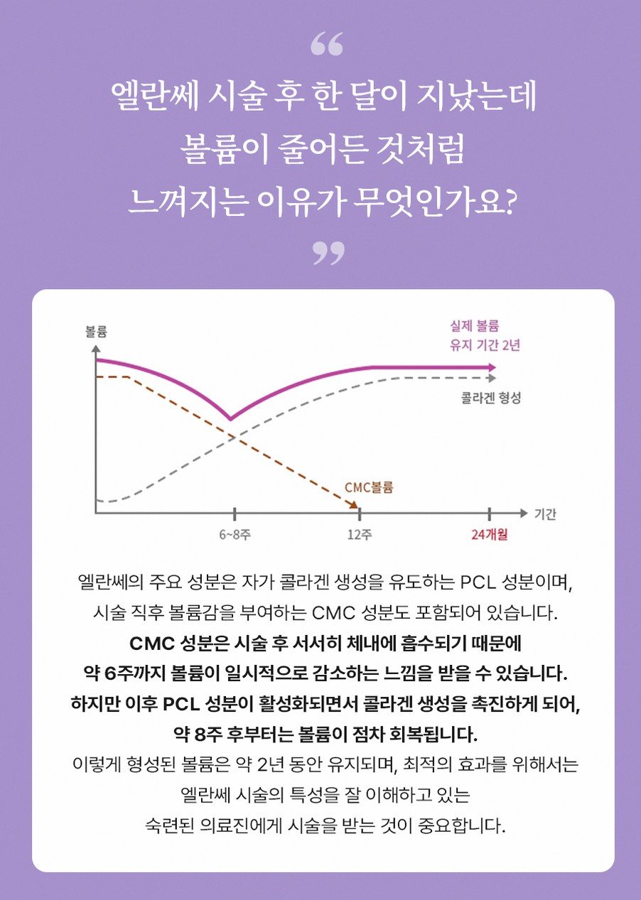 본문 내용을 보조하는 이미지