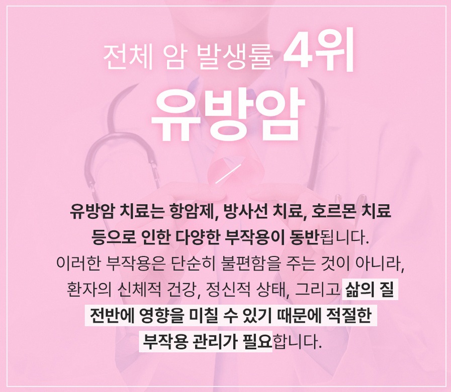 본문 내용을 보조하는 이미지